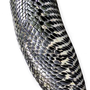 Snake Skin Surface Png Jvj2 PNG image