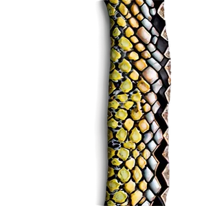 Snake Skin Template PNG 54 PNG