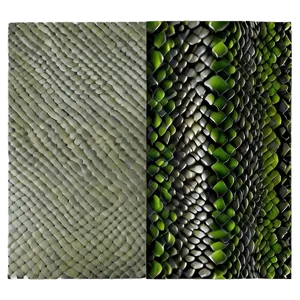 Snake Skin Template PNG Fmq79