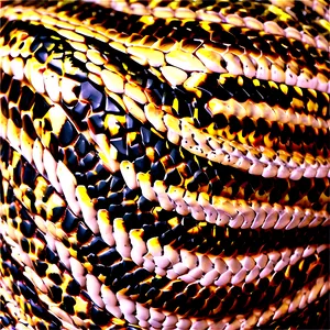 Snake Skin Texture Detail PNG Spv30 PNG