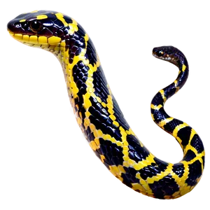 Snake Tail PNG 27 PNG