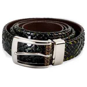 Snakeskin Belt Png 05252024 PNG image