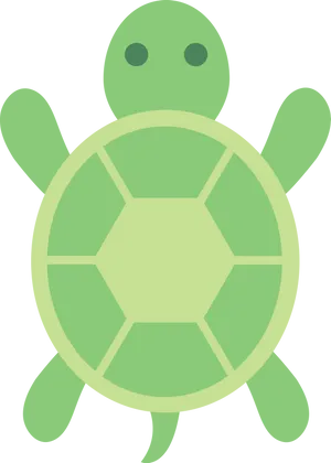 Snapchat Logo Green Turtle