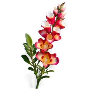 Snapdragon Flower Bush PNG 06122024