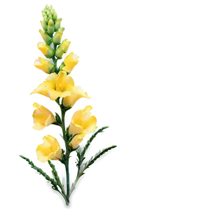 Snapdragon Flower Bush PNG Pag15 PNG