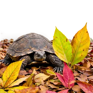 Snapping Turtle Camouflaged In Leaves Png 06252024 PNG image