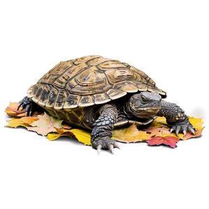 Snapping Turtle Camouflaged In Leaves PNG Kqm PNG