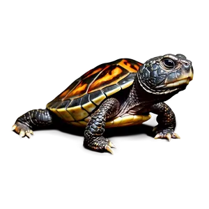 Snapping Turtle Hatchling Emerging PNG Dom