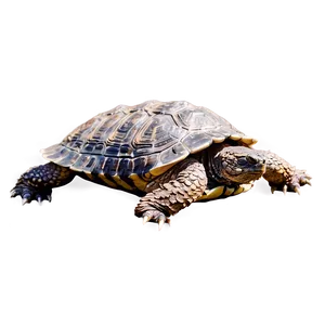 Snapping Turtle In Action PNG Uvv50 PNG
