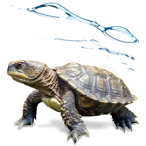 Snapping Turtle In Aquatic Scene PNG Kvq PNG
