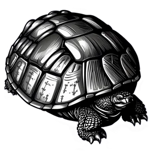 Snapping Turtle In Detailed Line Art PNG Kkx62 PNG
