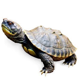 Snapping Turtle In Forest Setting Png Bwc77 PNG image