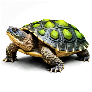 Snapping Turtle In Forest Setting Png Pyd PNG image