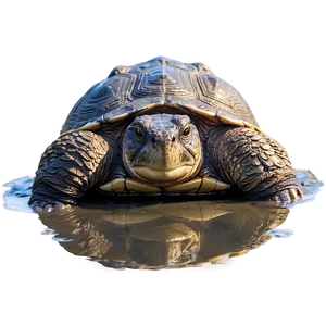 Snapping Turtle In Mud PNG Elg19