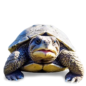 Snapping Turtle On Sandy Shore PNG Wxu