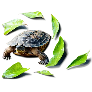 Snapping Turtle Profile View Png Xwd PNG image