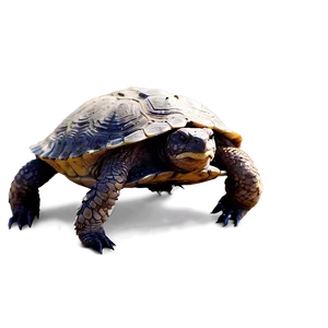 Snapping Turtle With Claws Out PNG Hgd89 PNG