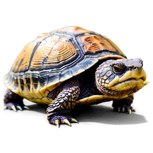 Snapping Turtle With Vibrant Colors PNG Afv PNG