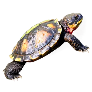 Snapping Turtle With Vibrant Colors Png Tfa42 PNG image