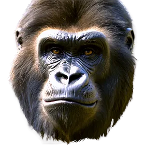 Snarling Gorilla Face Png Duw49 PNG image