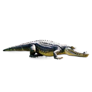 Sneaky Alligator PNG Lnw PNG