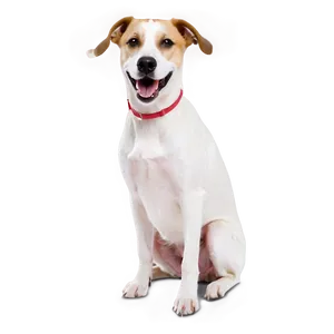 Snickering Dog Png Qeu19 PNG image