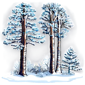 Snow Blanketed Forest Trees PNG 06292024 PNG