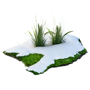 Snow-capped Grass PNG Gkt47 PNG