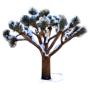 Snow-capped Joshua Tree PNG 06262024 PNG