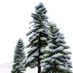 Snow-capped Mountain Trees PNG 05042024