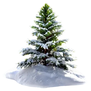 Snow-covered Christmas Tree Png 06212024 PNG image