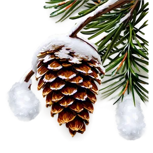 Snow Covered Pine Cones PNG 04292024