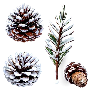 Snow Covered Pine Cones PNG 56