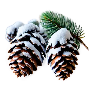 Snow-covered Pine Cones PNG Qwy78 PNG