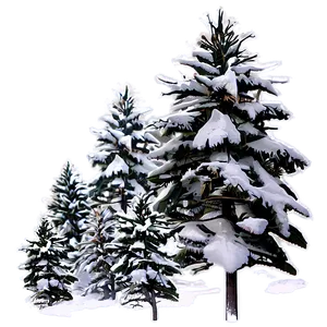 Snow-covered Pine Trees Png Jue55 PNG image