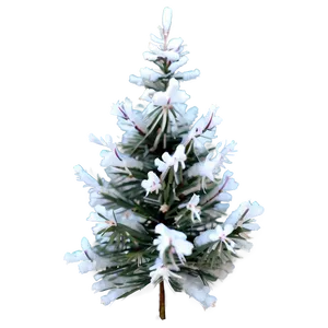 Snow-covered Spruce Tree Png Cuj32 PNG image