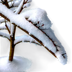 Snow Covered Tree Branch Png Mbm39 PNG image