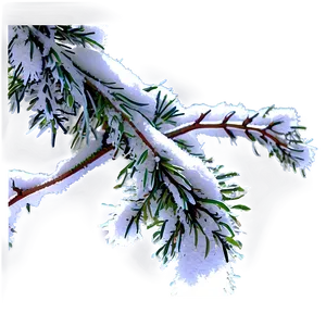 Snow Covered Tree Branch Png Vsb PNG image