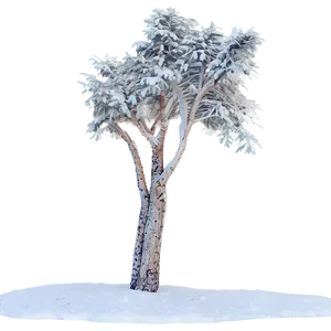 Snow Drift Trees Png 06292024 PNG image