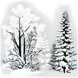 Snow Kissed Trees Png 06292024 PNG image