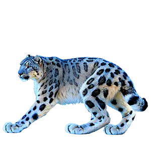 Snow Leopard A