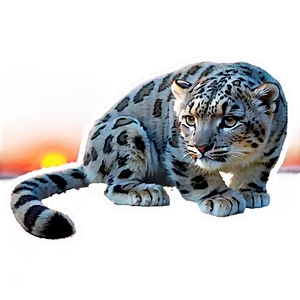 Snow Leopard During Sunset Png 06122024 PNG image