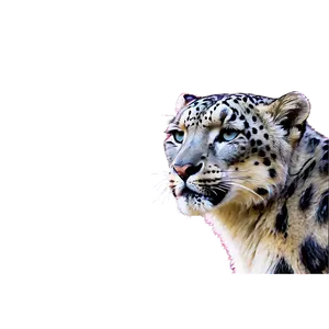 Snow Leopard During Sunset Png Myp85 PNG image