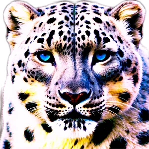 Snow Leopard Face Closeup PNG 06122024