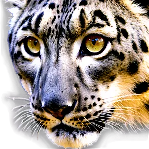 Snow Leopard Face Closeup Png Gqv PNG image