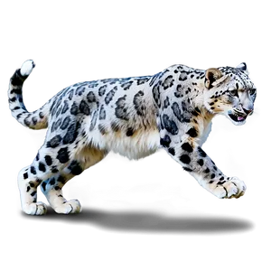 Snow Leopard In Action Sequence PNG 06122024