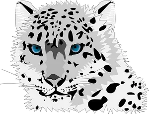 Snow Leopard Portrait Vector