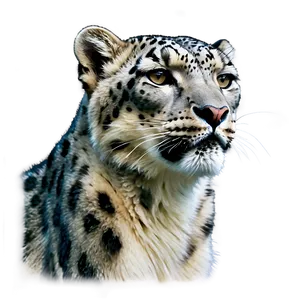 Snow Leopard Side Profile PNG 2