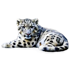 Snow Leopard Sketch Art PNG 06122024