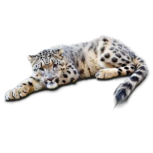 Snow Leopard Sunbathing Png 06122024 PNG image